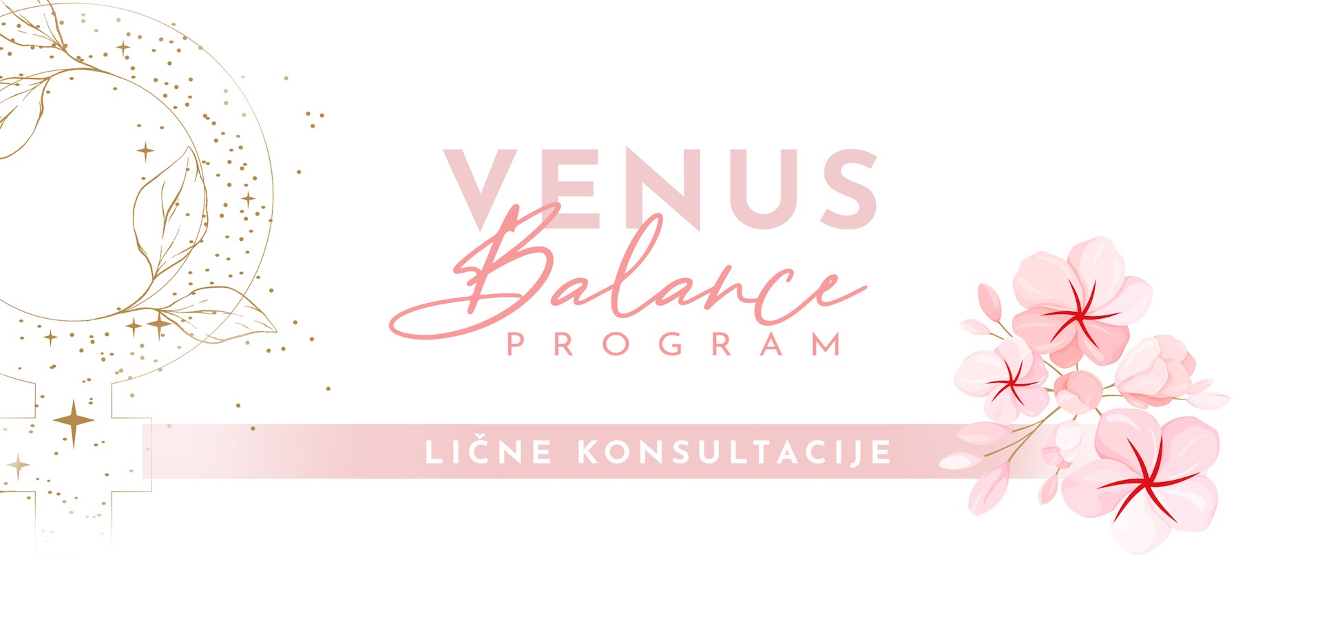 Venus Balance program